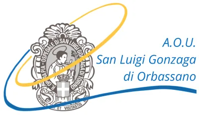 Rivoli AOU San Luigi Gonzaga